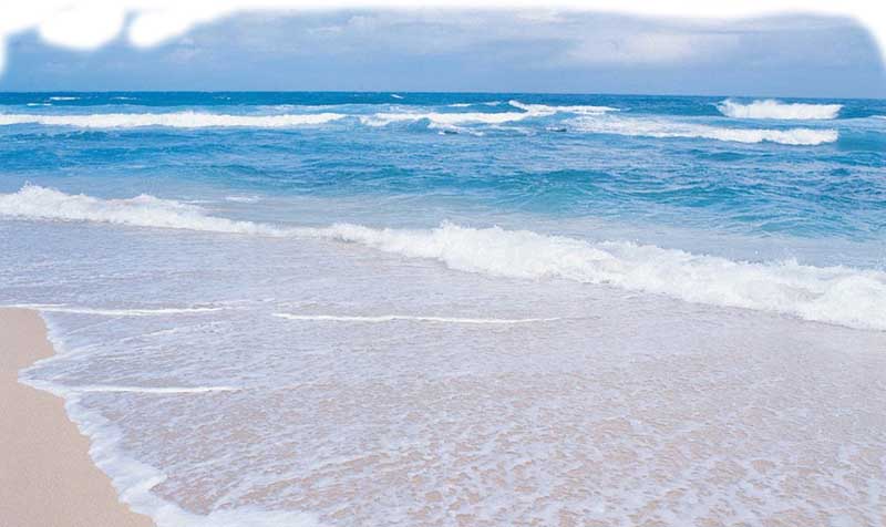 plage.jpg